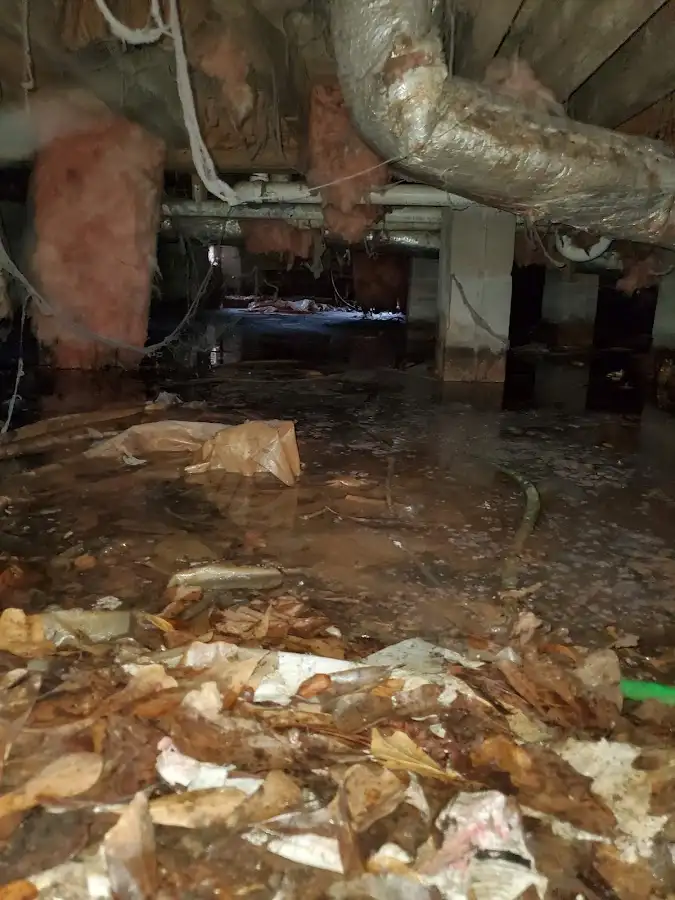 Crawl space flood assessment for Leak Detection & Repair in Dana Point