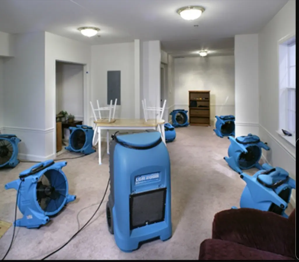 Air movers and dehumidifier setup for Water Extraction & Removal in Dana Point